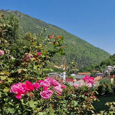 Plava Voda * Travnik